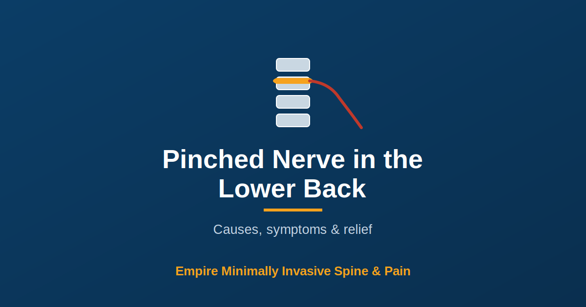 Pinched nerve in the lower back — Empire Minimally Invasive Spine and Pain